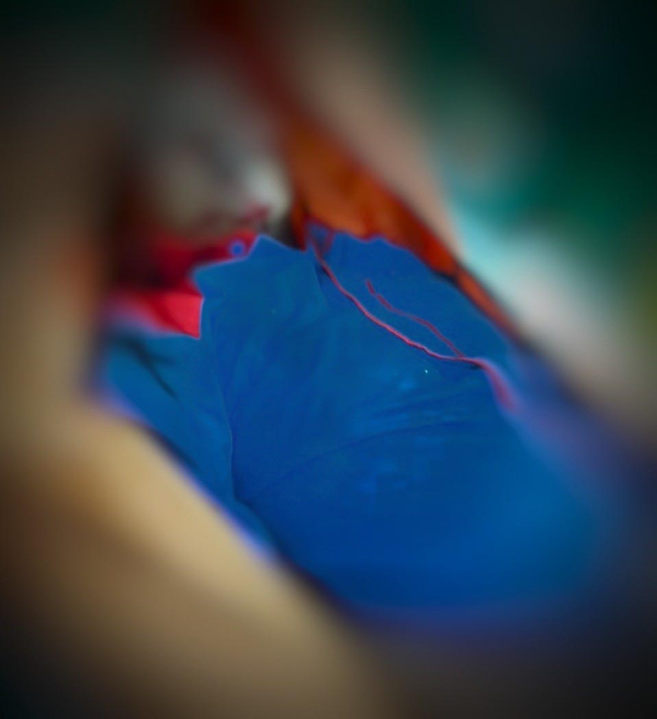 $rows[judul]
